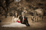PiJoly PHOTOGRAPHISME