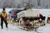 341 Seppala Sleddogs 4.jpg