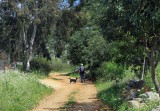 a little walk in the Turkish countryside