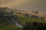 Tuscany Landscape in the Morning .Day 1