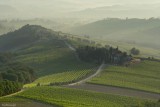 Tuscany Landscape in the Morning .Day 1