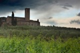 San Gimignano Vineyards