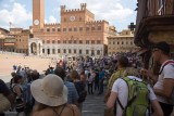SIENA.Arena for the PATIO. Plazza del Campo