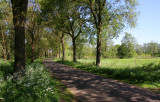 Aalden_13-5-2009 (230).JPG