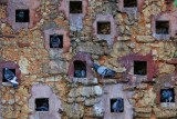 Wall in Parque de las Palomas (Pigeons)
