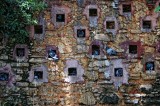 The park is all for the pigeons!