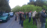 Sandhill Crane - twitchers