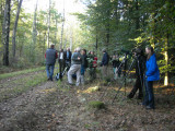 Great Grey Owl - twitchers.