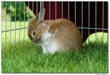 DSC00332-sm.JPG
