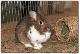 DSC03073-sm.JPG