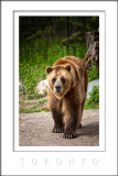 2008 - Toronto Zoo, Ontario - Canada