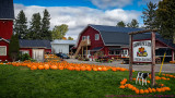 2016 - Picton (Prince Edward County, Ontario - Canada