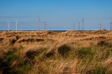 Windfarm Across The Dunes