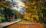 Castle Eden Walkway