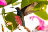 Jamaica 2014