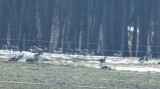 DSC_2016.JPG