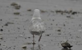 _DSC0315.JPG