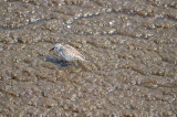 DSC_3954.JPG