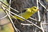 DSC_7661.JPG