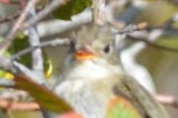 DSC_8407.JPG