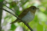 DSC_9844.JPG