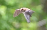 DSC_8649.JPG