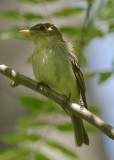 DSC_1899.JPG