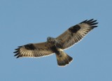 DSC_0765.JPG