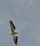 DSC_0756.JPG