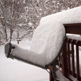 Snow dish