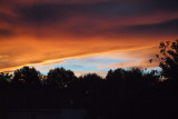 Sunset in the backyard 2