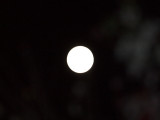 The moon in a flash!