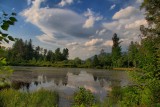 Pond Along Hiking TrailJune 23, 2013