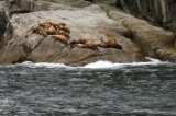 Don't they make rocks look comfy? 0051.jpg