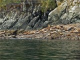 Image00195.jpg