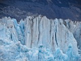 Image00245.jpg