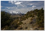 Hogback Ridge