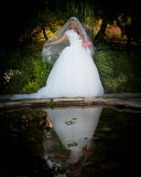 Bridals