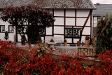 North Eifel , Germany