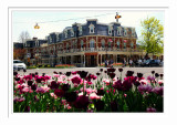 Niagara-On-The-Lake 3