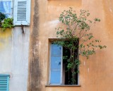 155 Place St Francois Nice.jpg