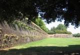 181 lucca 158.jpg
