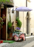 481 219 Verona.jpg