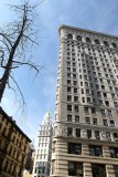 275 Flatiron 2016 3.jpg