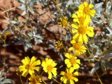 182 Valley of Fire State Park 9.jpg