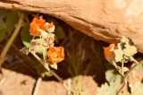 189 Valley of Fire State Park 5.jpg