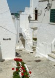 273 Ostuni P1060364.jpg