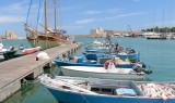 799 Trani P1180703.jpg
