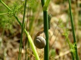 634 Luberon Roussillon 069.jpg