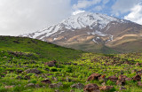Mt. Damavand And The Sheep